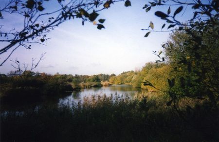 Aslacton lakes, norfolk