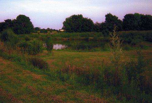 Competition lake